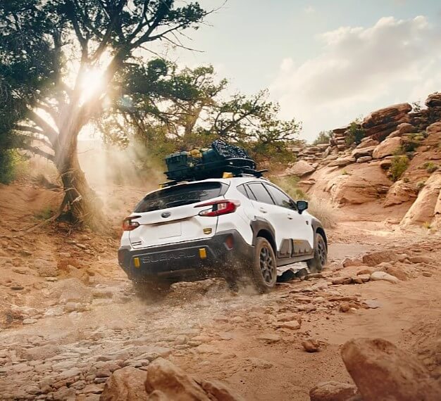 2024 Subaru Crosstrek Wilderness Performance