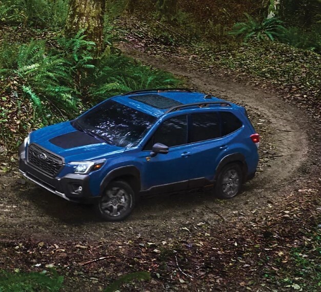 2024 Subaru Forester Wilderness Design