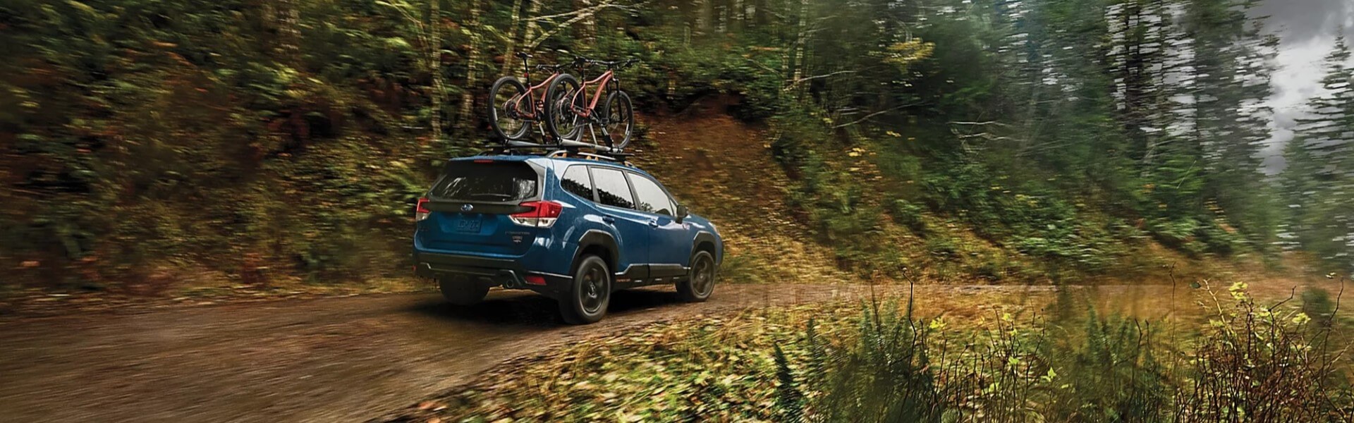 2024 Subaru Forester Wilderness With Two Mountain Bikes On Its Roof Rack Driving On A Forest Path Banner