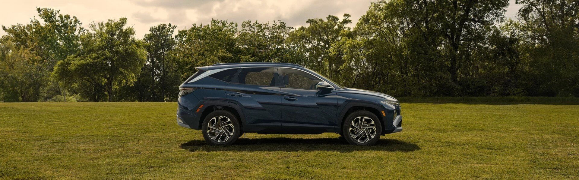 2025 Hyundai Tucson Hybrid Parked On Grass For Sale