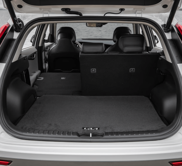 2025 Kia Niro EV Design Feature