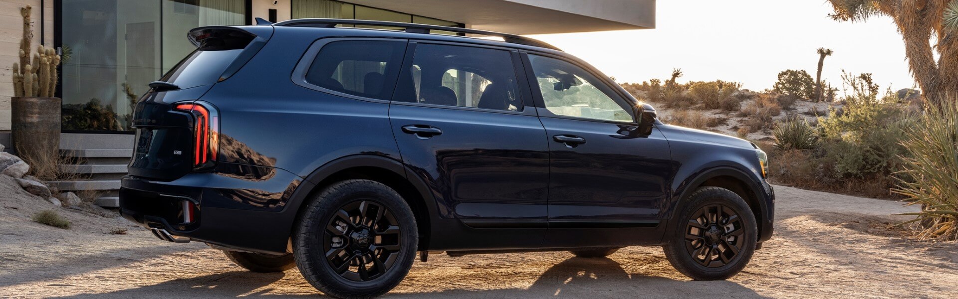 2025 Kia Telluride Banner