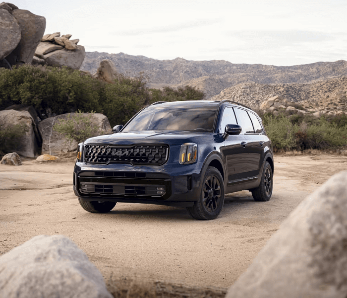 2025 Kia Telluride Design