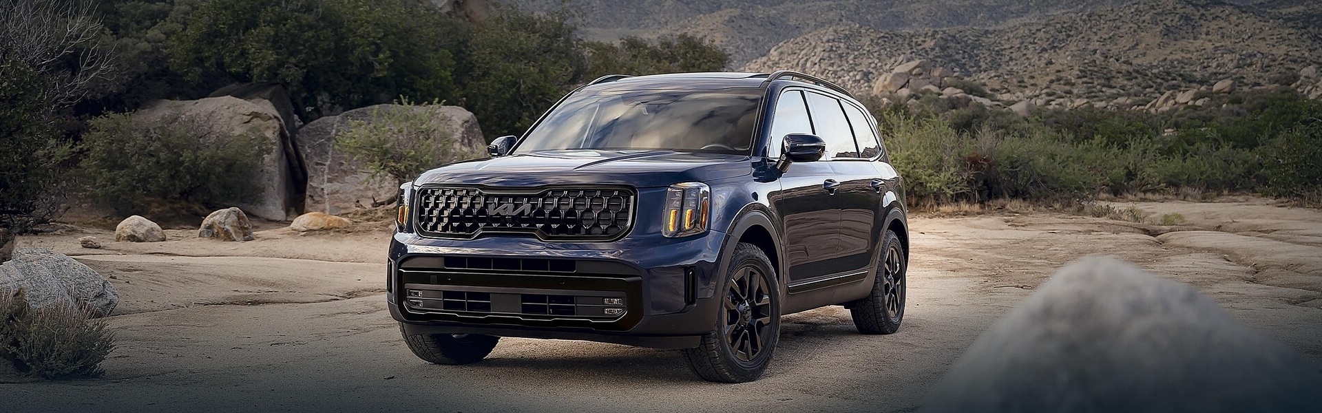 2025 Kia Telluride For Sale