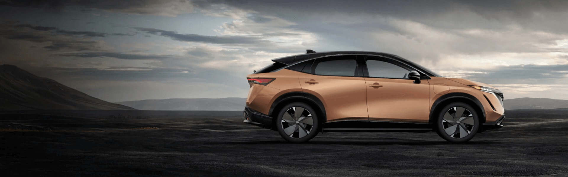 2025 Nissan ARIYA Banner