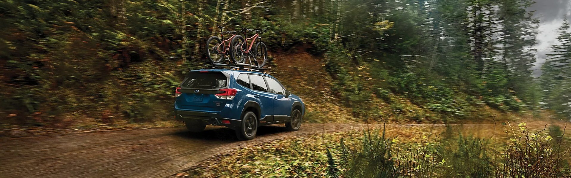 2025 Subaru Forester Wilderness For Sale