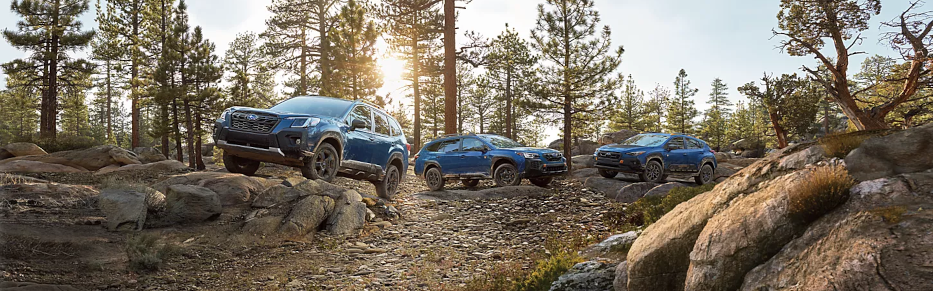 2025 Subaru Wilderness Lineup