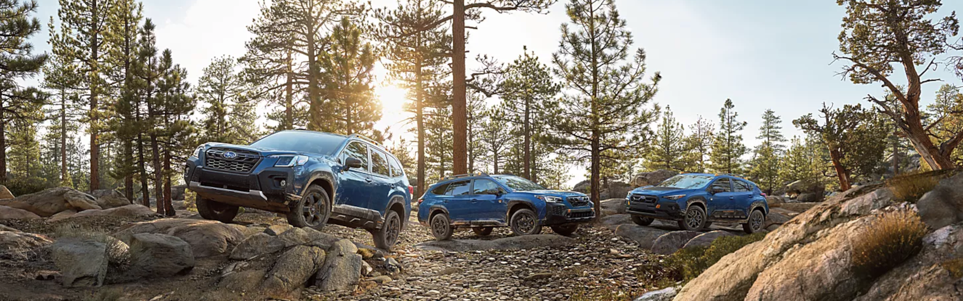 2025 Subaru Wilderness vehicles