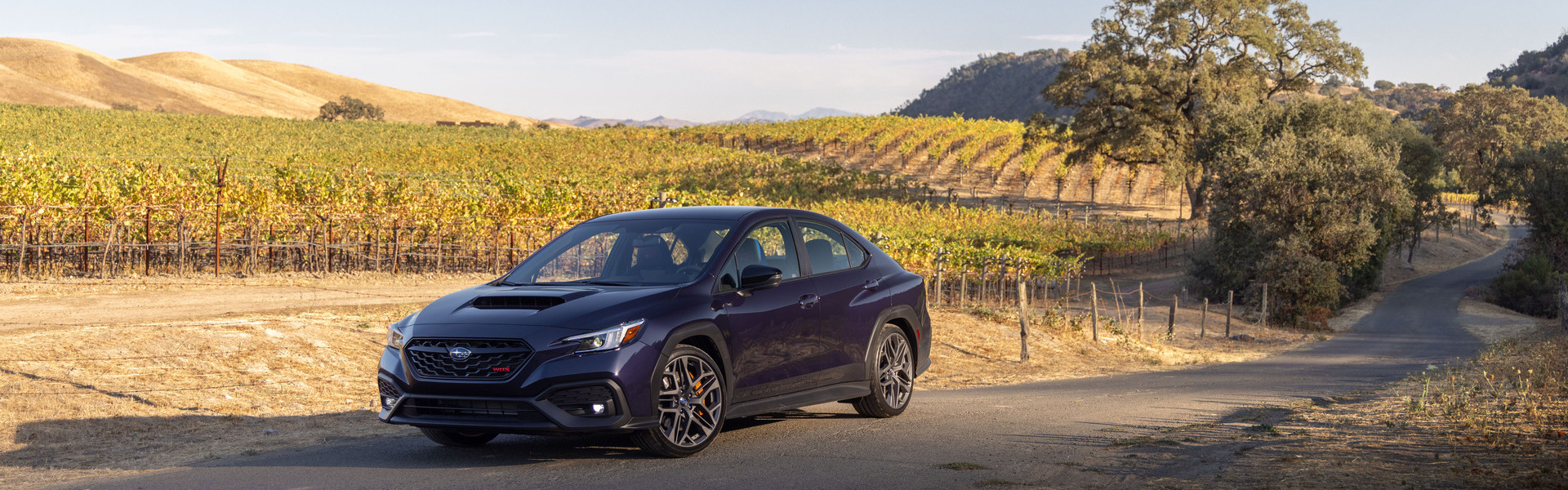 2025 Subaru WRX tS For Sale