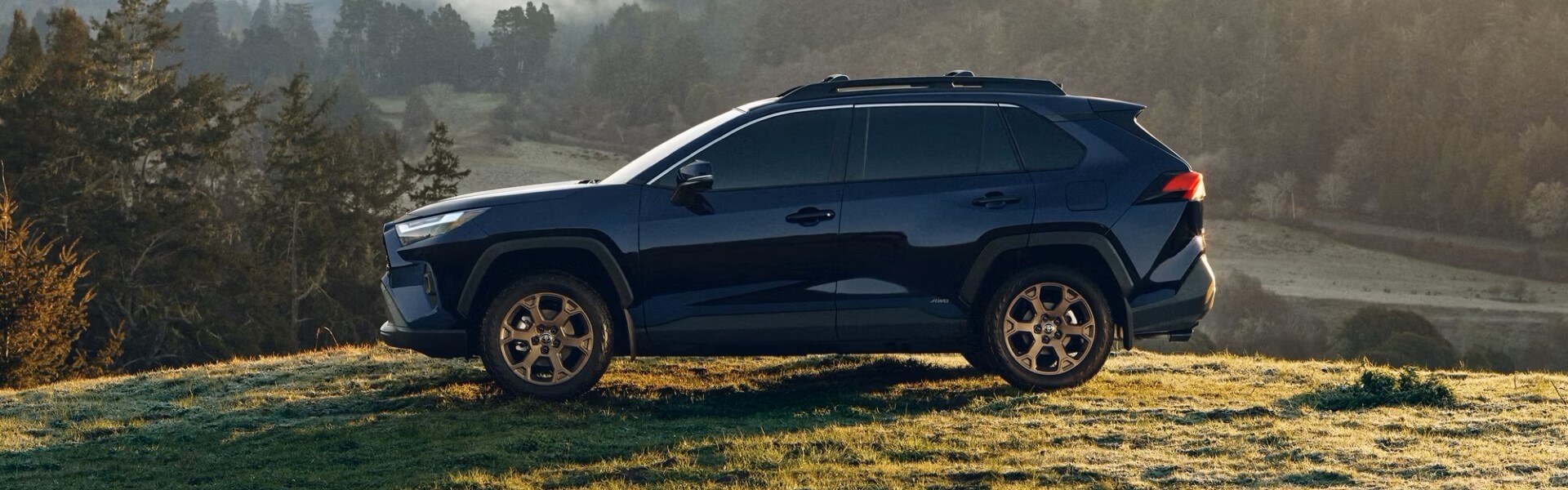 2025 Toyota RAV4 Hybrid For Sale