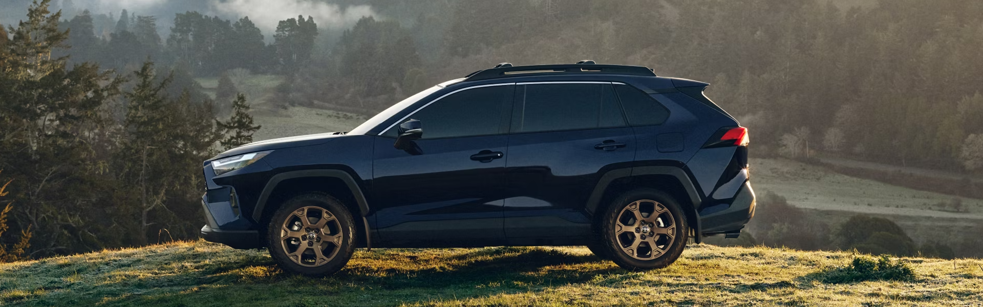 2025 Toyota RAV4 Hybrid parked on a grassy area with a scenic backdrop of hills and trees