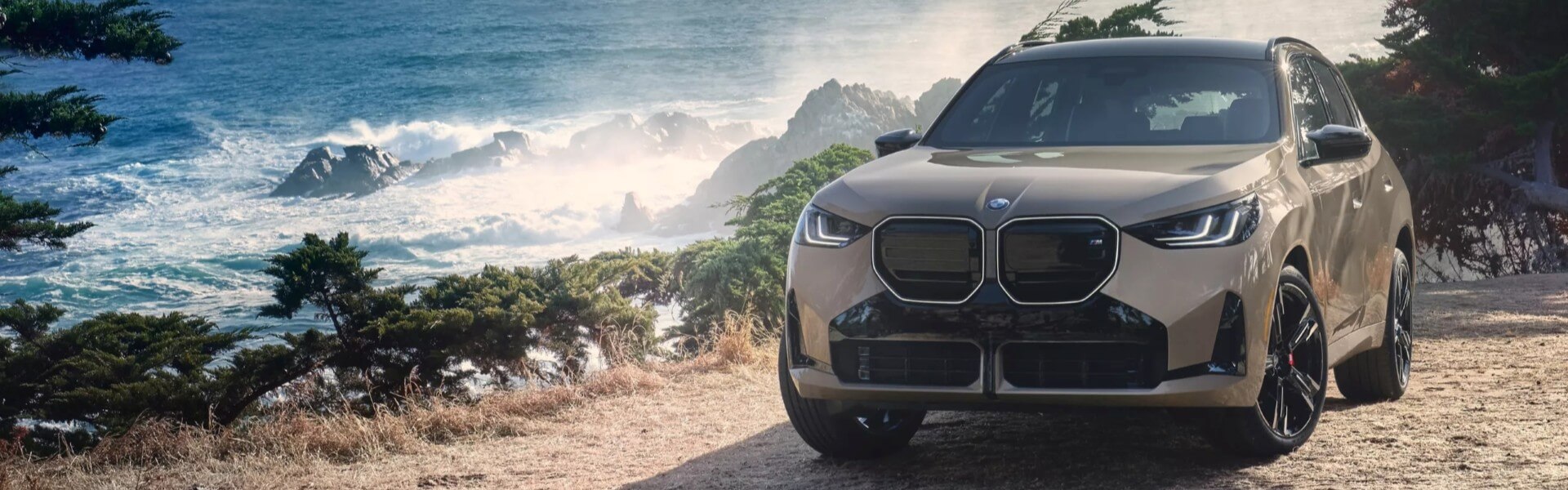 2026 BMW X3 Banner