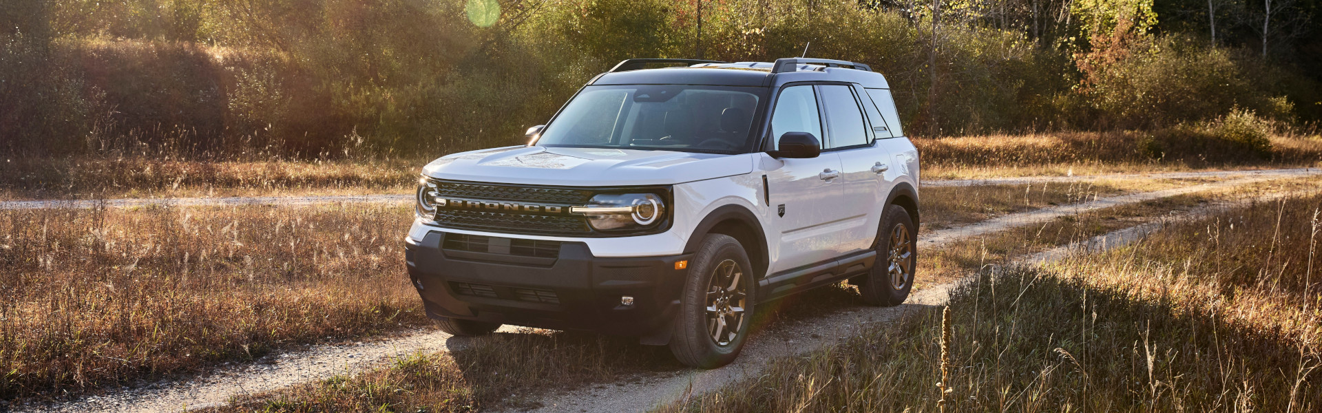 2026 Ford Bronco Sport For Sale Banner