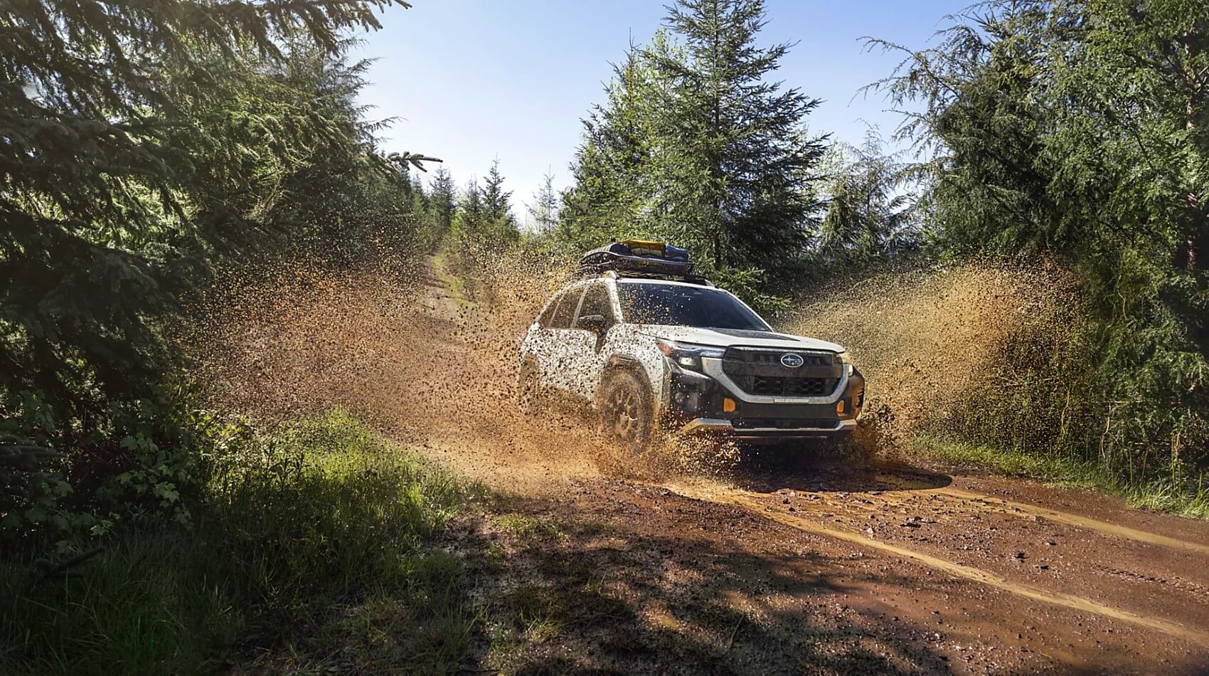 2026 Subaru Forester Wilderness - Feature Image