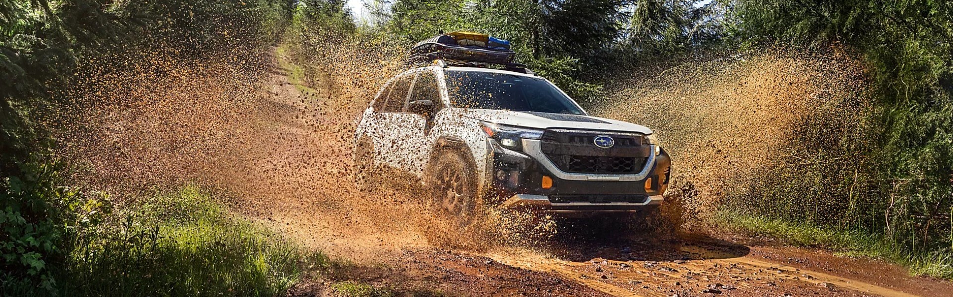 2026 Subaru Forester Wilderness Banner