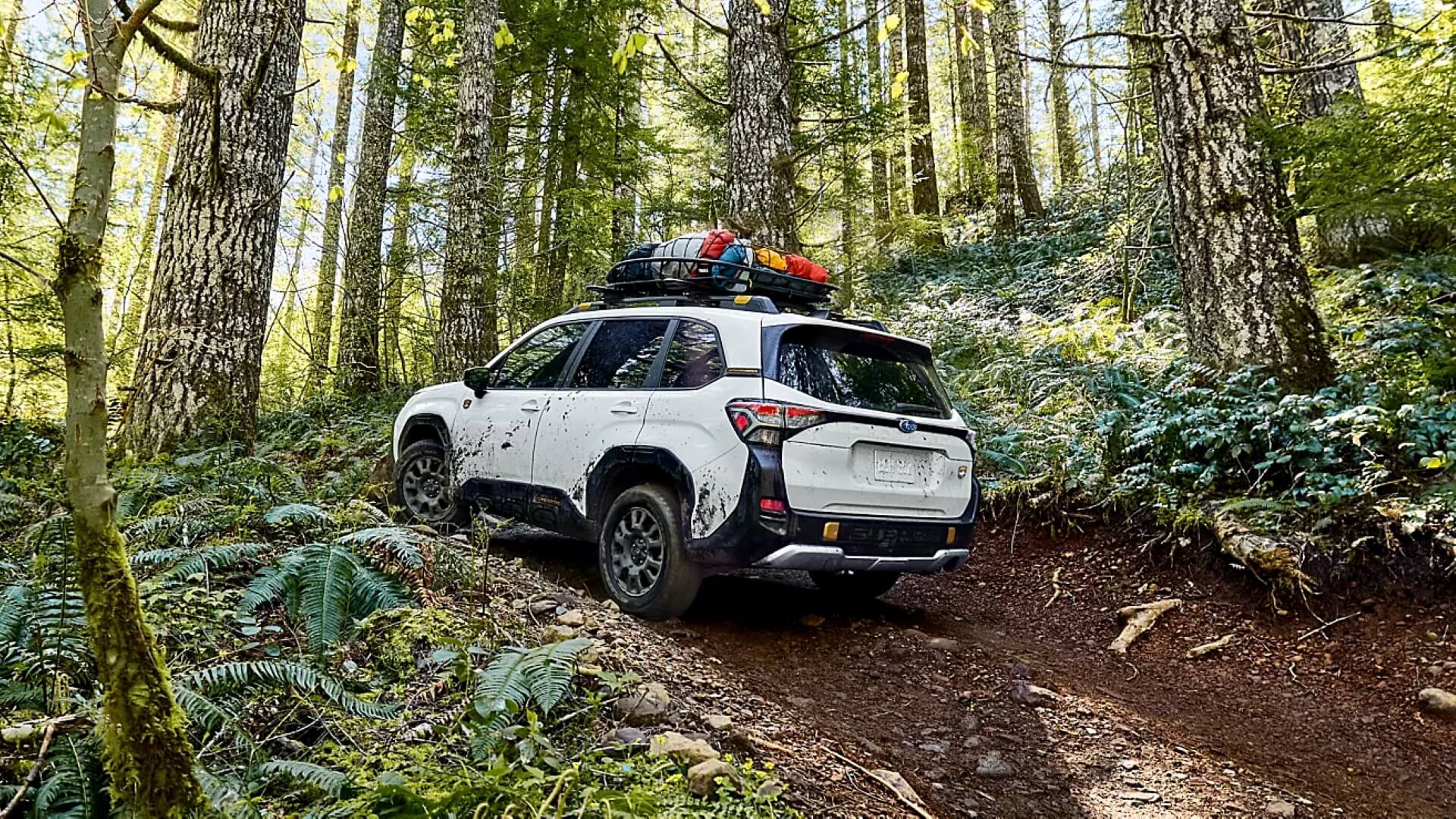 2026 Subaru Forester Wilderness Design - Feature Image