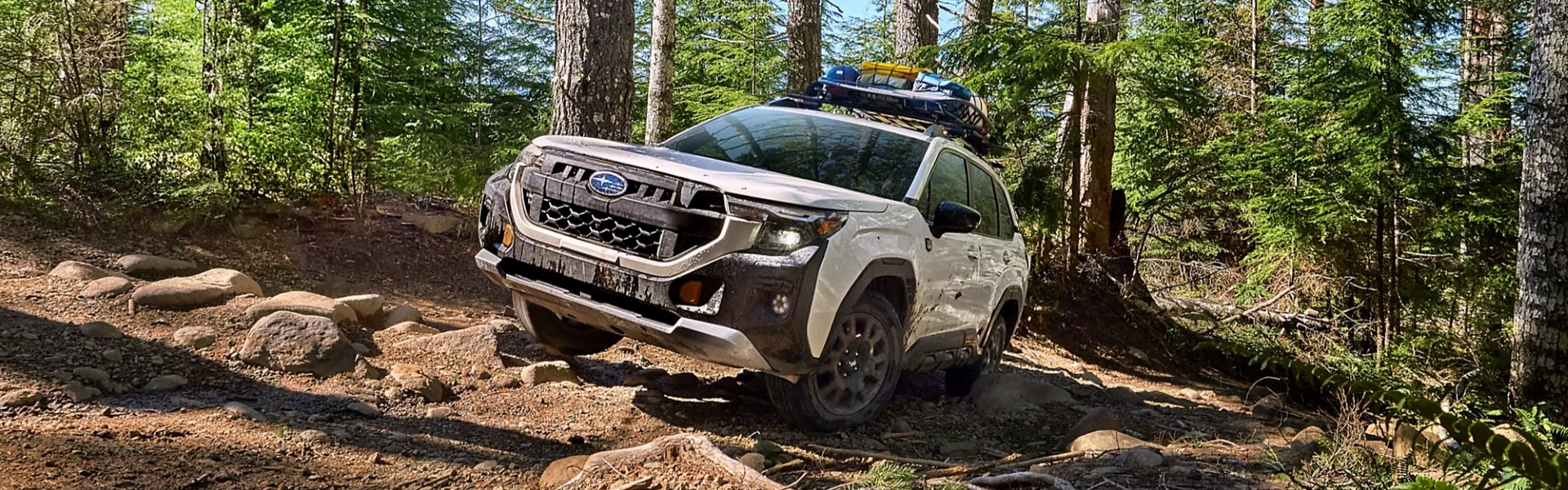 2026 Subaru Forester Wilderness For Sale