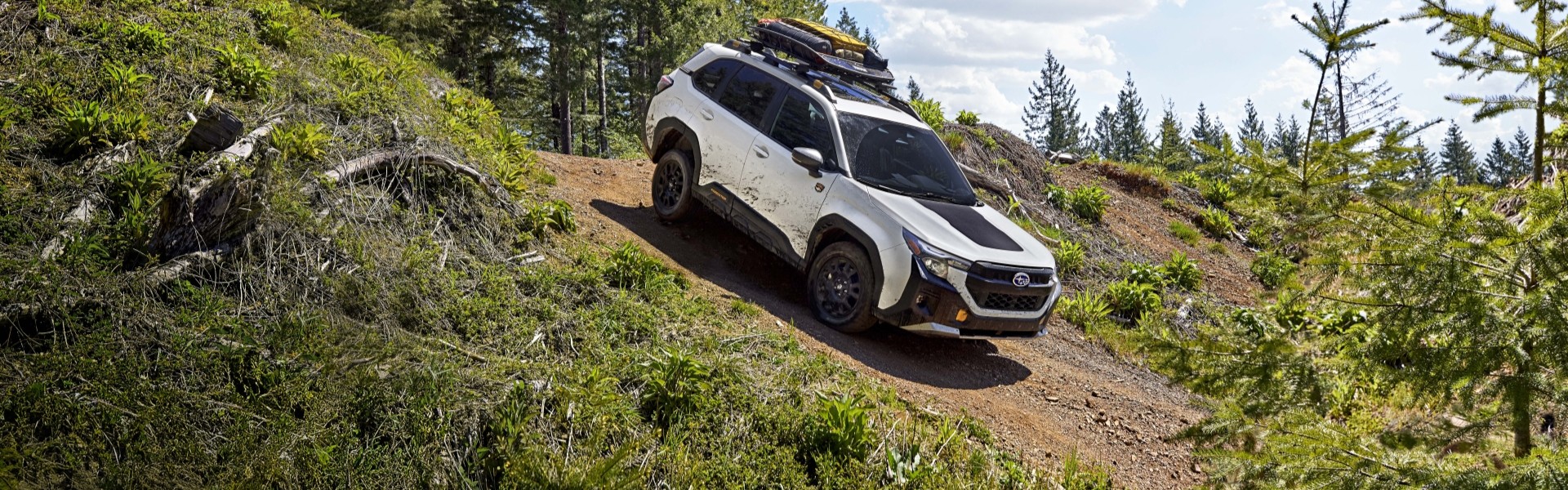 2026 Subaru Forester Wilderness For Sale