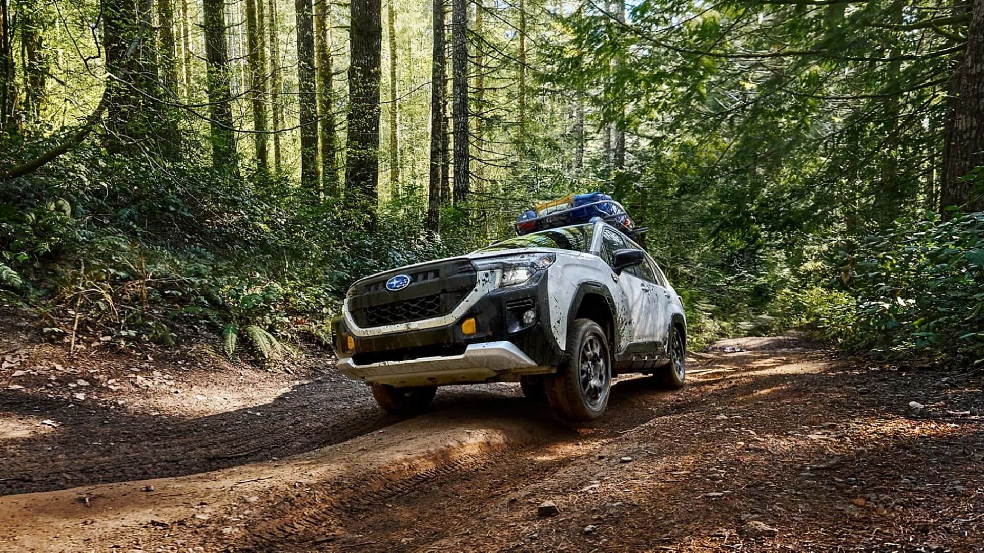 2026 Subaru Forester Wilderness Performance - Feature Image