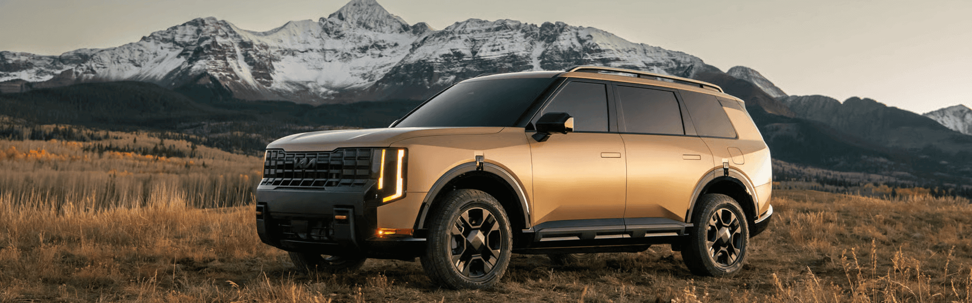 2027 Kia Telluride For Sale